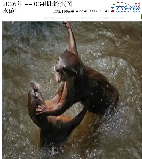 034期正版蛇蛋图[图]