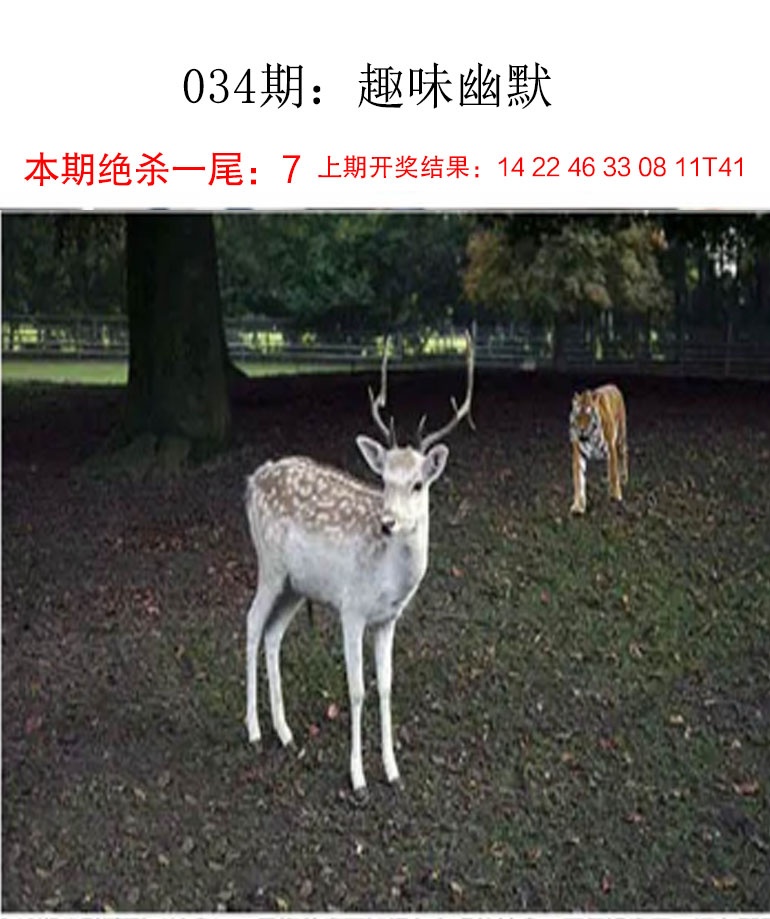 034期趣味幽默[图]