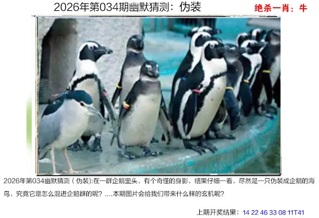 034期幽默猜测[图]