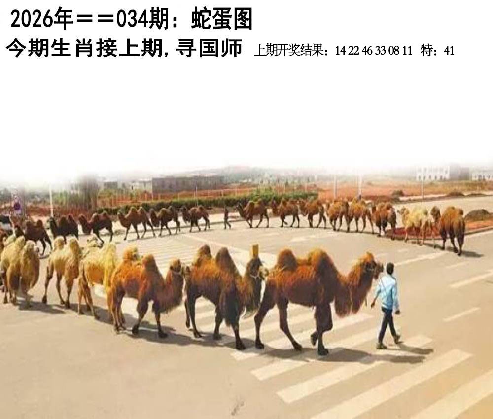 034期另版蛇蛋图[图]
