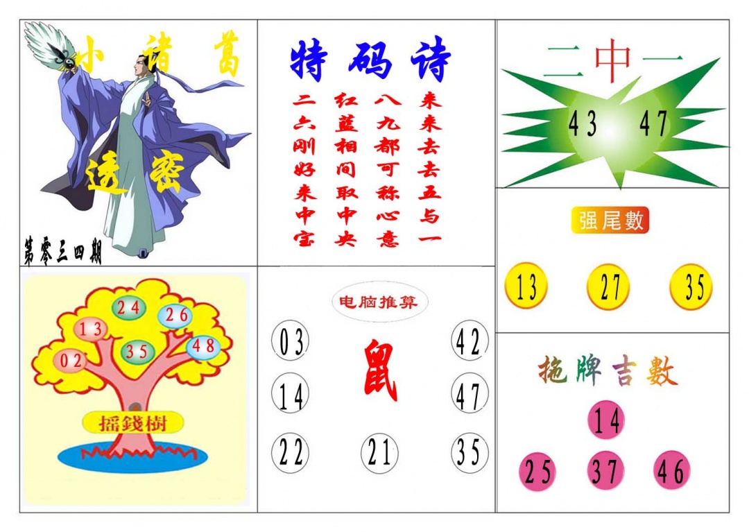 034期小诸葛[图]