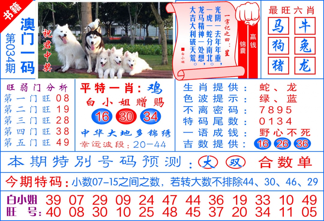 034期澳门飞龙宝典[图]