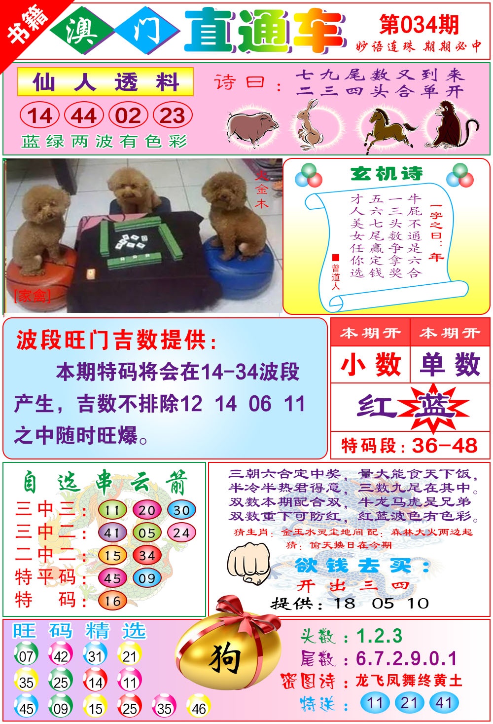 034期白姐直通车[图]