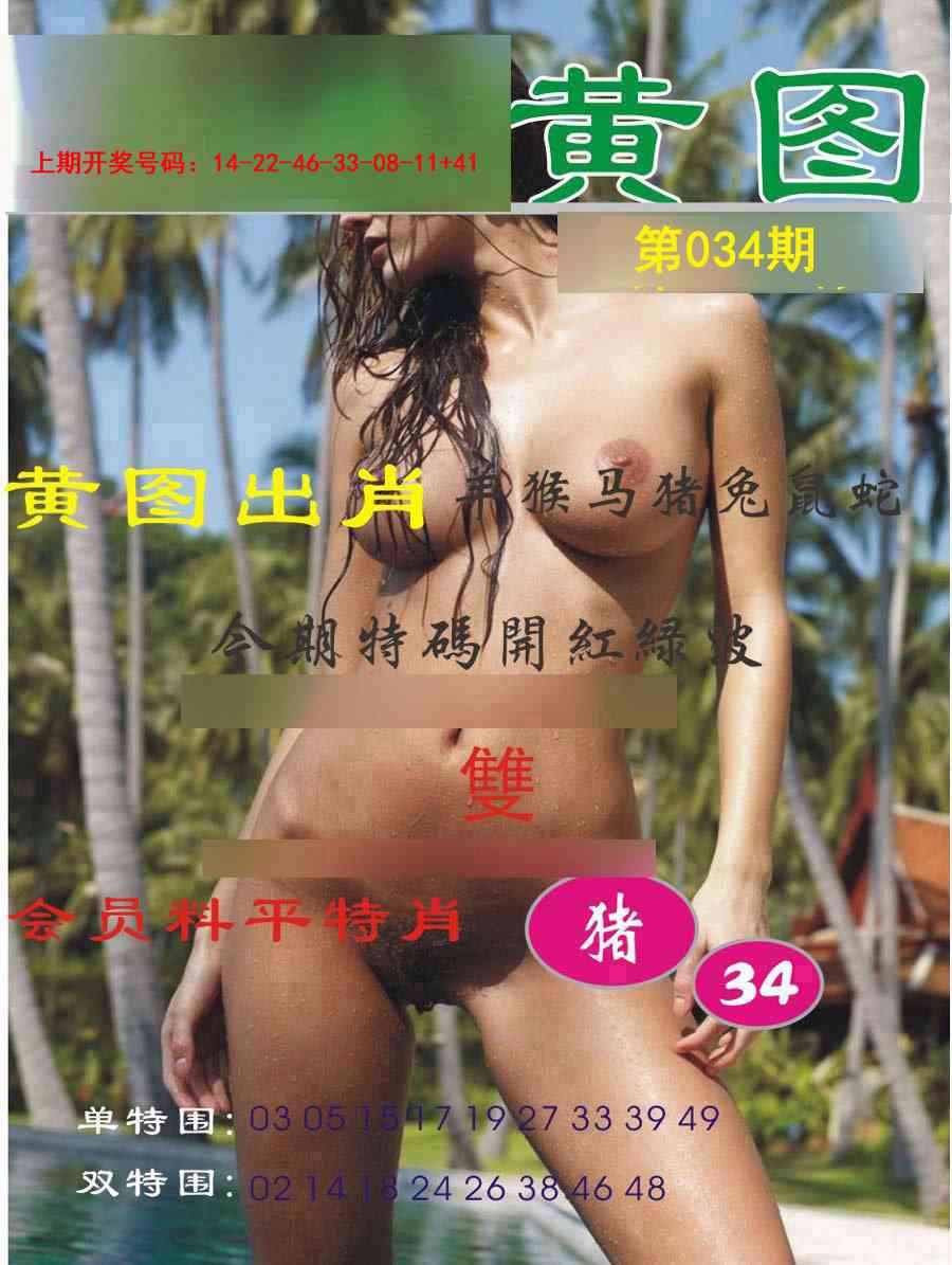 034期黄图[图]