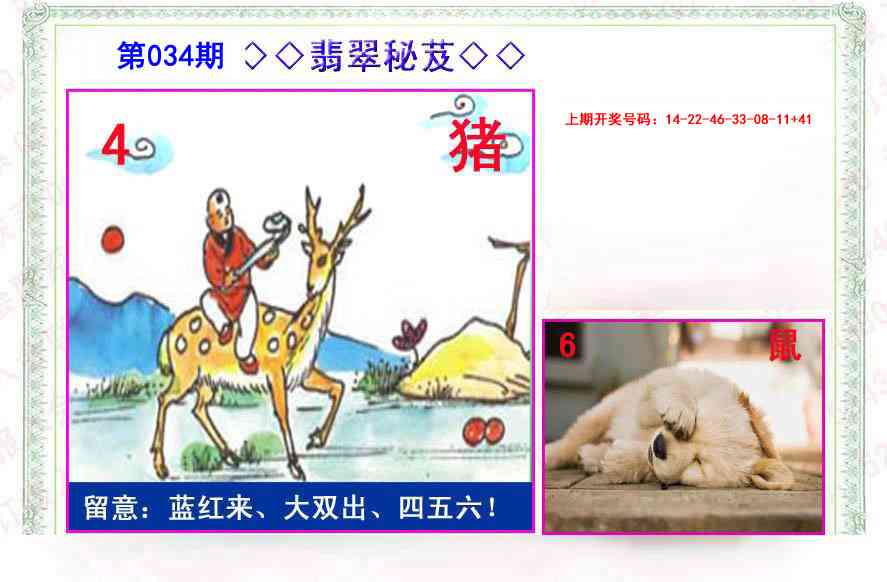 034期翡翠报[图]