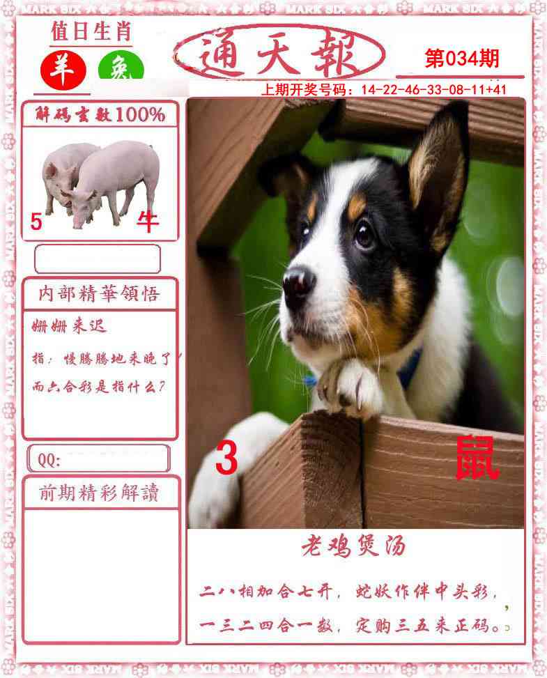 034期正版通天报[图]