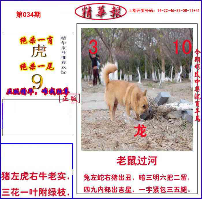 034期新精华报报[图]