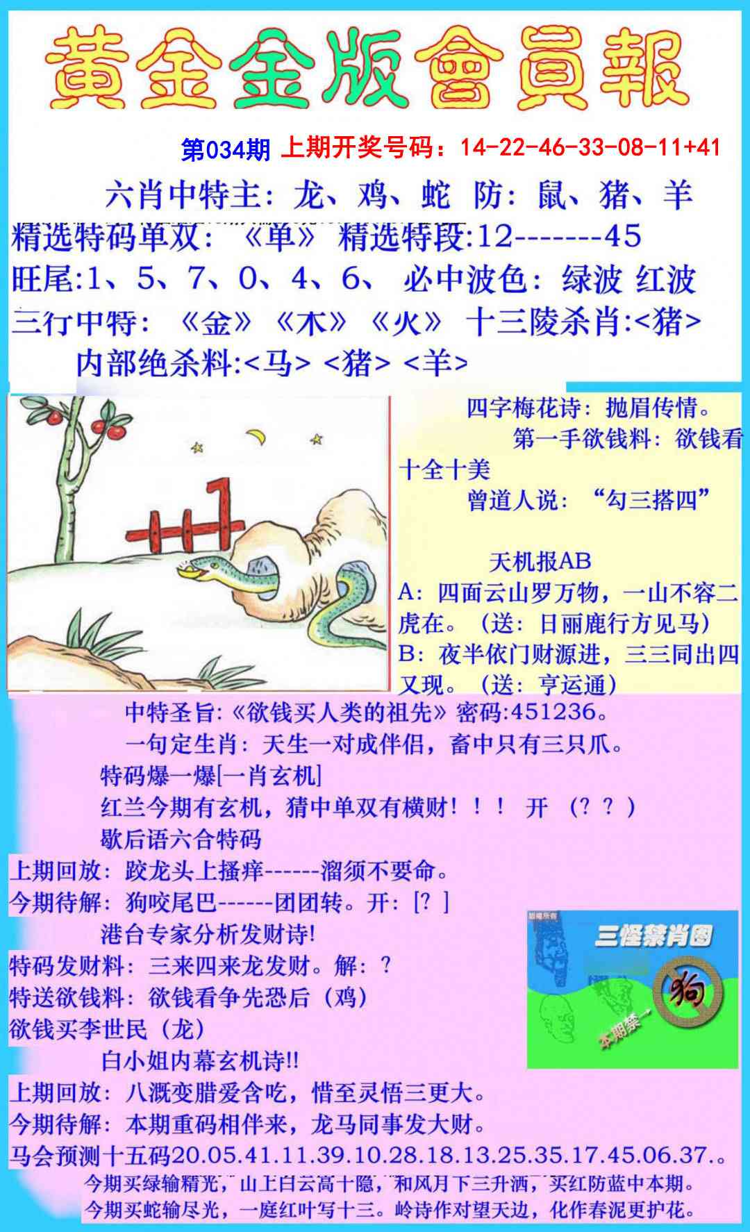 034期黄金金版会员报[图]