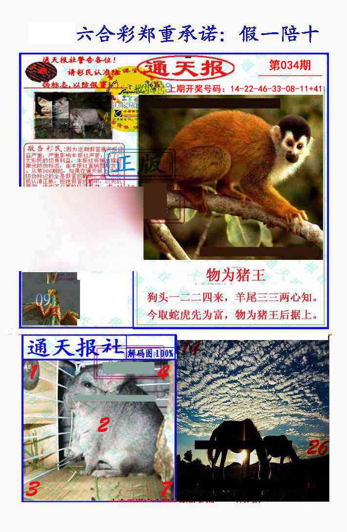 034期假一陪十通天报[图]