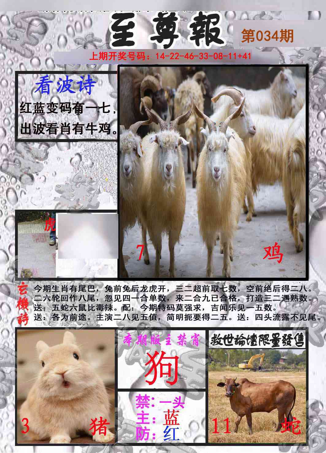 034期至尊报[图]