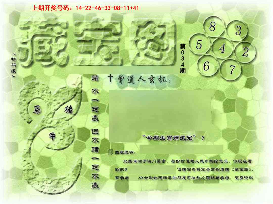 034期假新藏宝图[图]