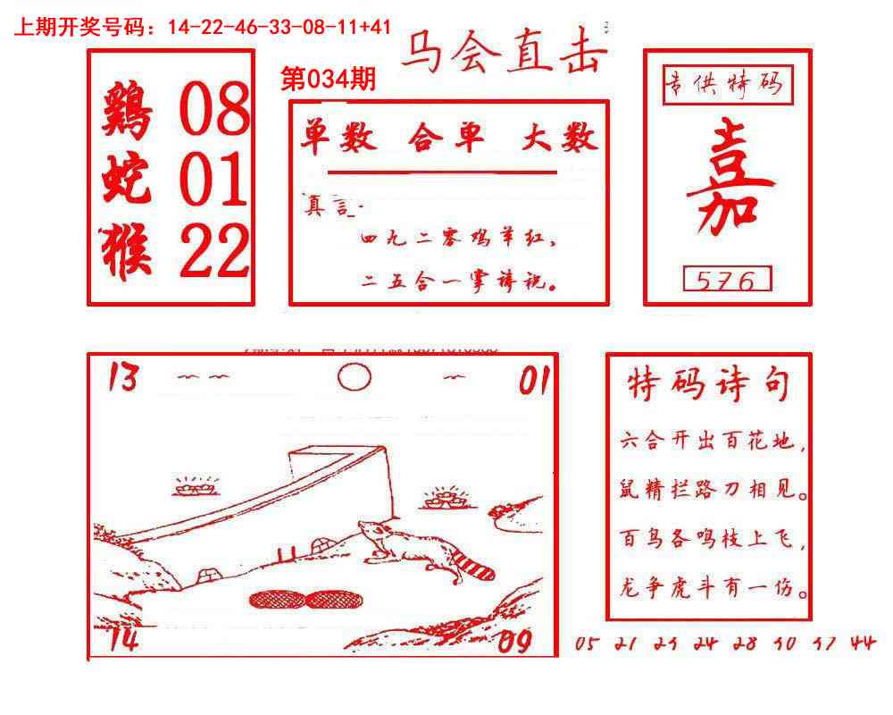 034期马会直击[图]