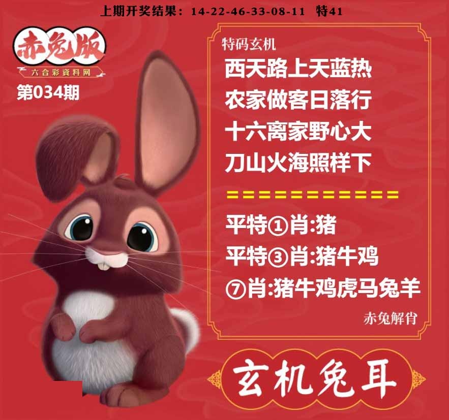 034期玄机兔耳[图]